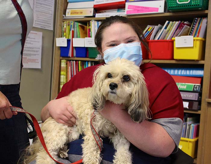 Therapy Dogs Return to Chatham School!